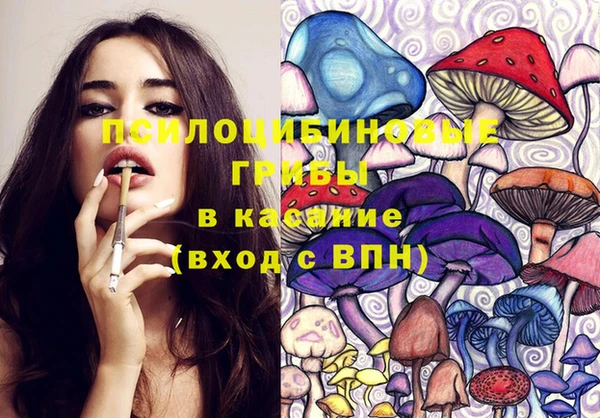 mdma Бородино