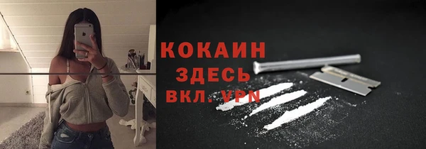 СК Снежинск