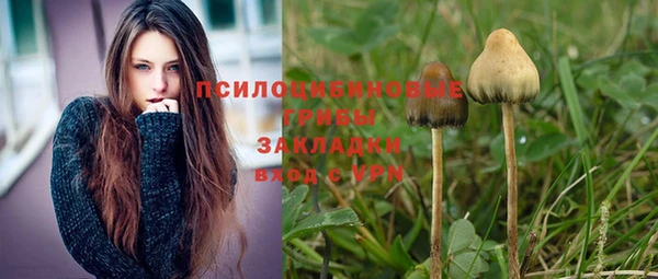 дживик Богданович