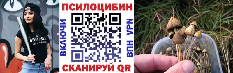 Галлюциногенные грибы MAGIC MUSHROOMS  Мурманск 