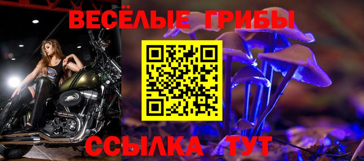 Мурманск  Псилоцибиновые грибы прущие грибы  Псилоцибиновые грибы прущие грибы  где купить   Вход с VPN 